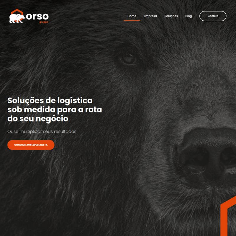 Site publicado: Orso